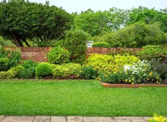 landscaping services Greenville